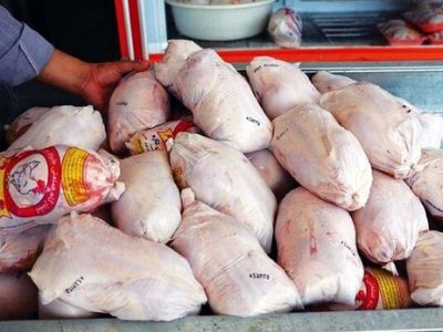 ​افزایش تولید گوشت مرغ در ماه‌های اخیر/ مرغ ۱۰۰ هزار تومانی، گران فروشی است