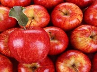 صادرات ۸۵ درصد سیب درختی کشور از گمرکات آذربایجان‌غربی