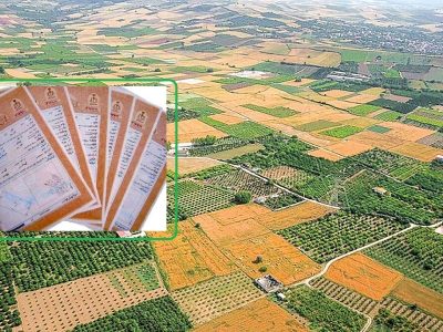 صدور ۶۲ هزار اسناد تک برگی از اراضی زراعی آذربایجان غربی