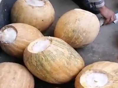 بار شیشه به مقصد نرسید