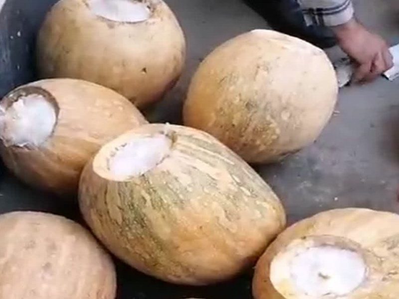 بار شیشه به مقصد نرسید