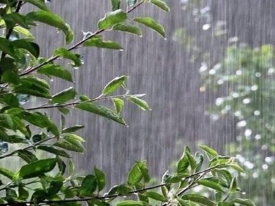 افزایش ۳۲ درصدی بارندگی در آذربایجان غربی