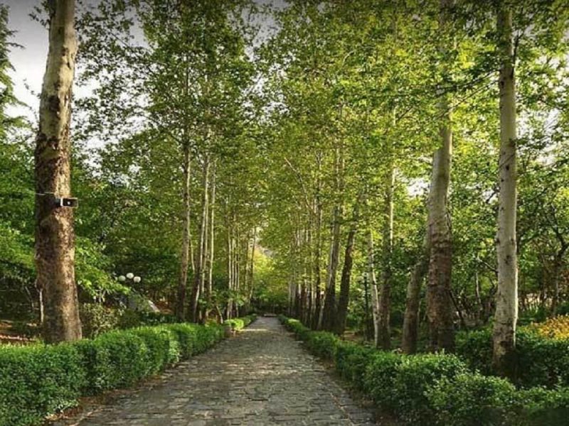 اضافه شدن ۱۲۰ هکتار به فضای سبز تبریز