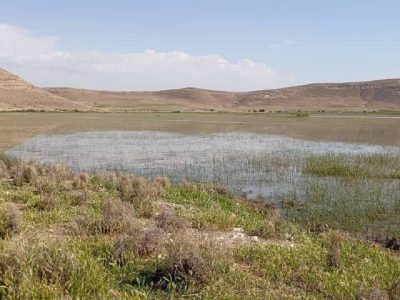 احیای تالاب درگه پس از ۲۵ سال
