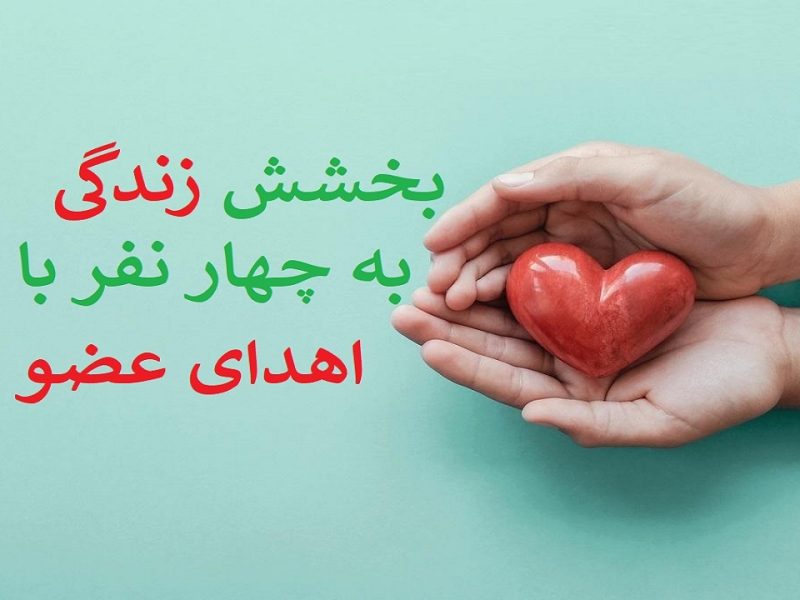 اهدای عضو، به چهار بیمار زندگی دوباره داد