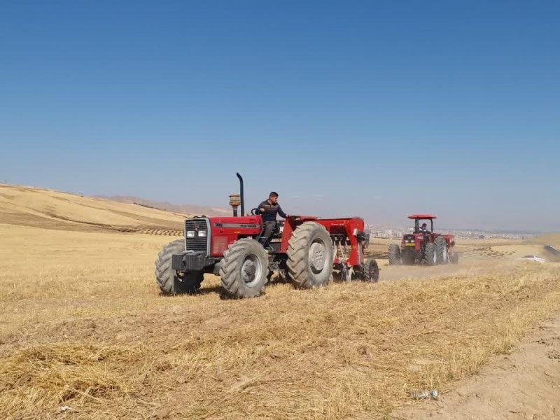 آغاز کشت پاییزه گندم در مزارع آذربایجان غربی