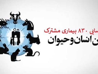 شناسایی ۸۳۰ بیماری مشترک بین انسان و دام