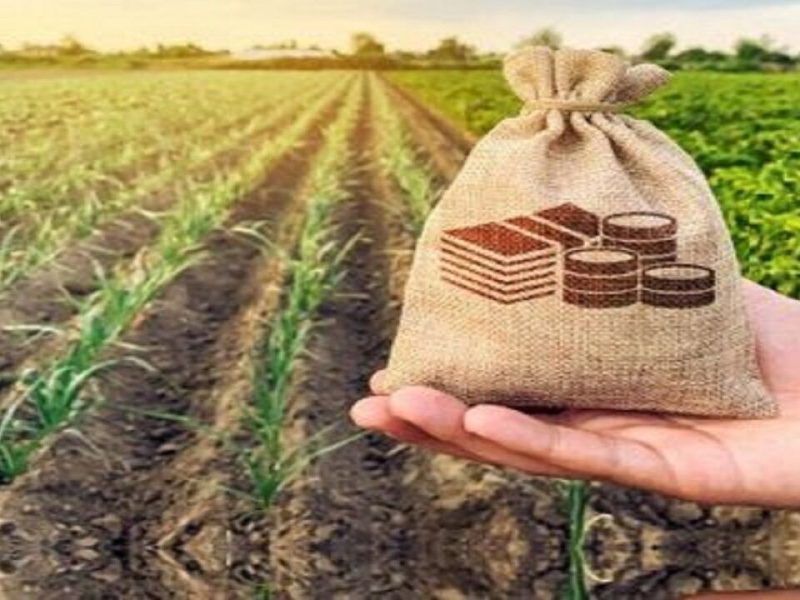 اعطای ۵۰۰۰ میلیارد ریال تسهیلات به کشاورزان آذربایجان غربی