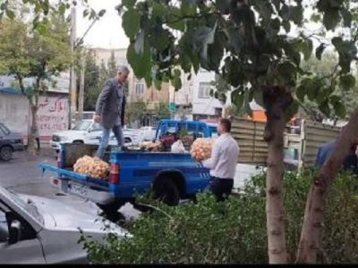 جمع‌آوری ۱۳۹ خودرو سد معبری و طبق میوه فروش از سطح منطقه ۴