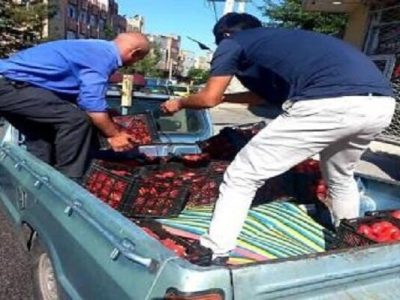 جمع‌آوری ۱۸۵ خودرو سد معبری و طبق میوه فروش از سطح منطقه ۴