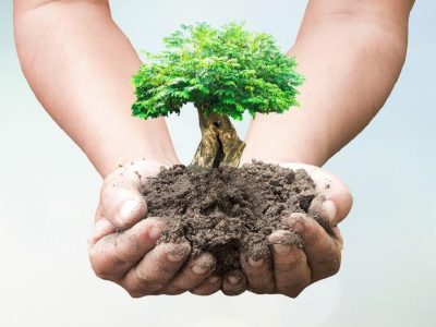 شهرداری ارومیه پویش درختکاری برگزار می‌کند