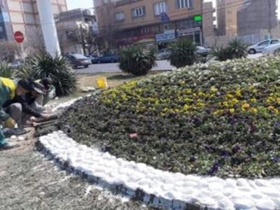 کاشت ۶۰۰ هزار بوته گل بهاری در سطح حوزه منطقه ۱