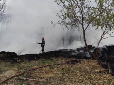 آتش سوزی فضای سبز دانشگاه تبریز مهار شد