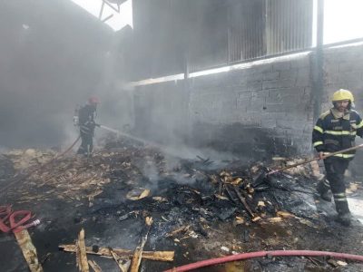آتش سوزی کارخانه چوب بری در باغ معروف