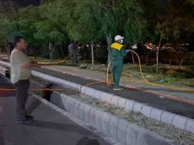 هدف گذاری برای سمپاشی ۱۴۰ هزار اصله درخت در جنوب غرب تبریز طی ۷ روز آینده