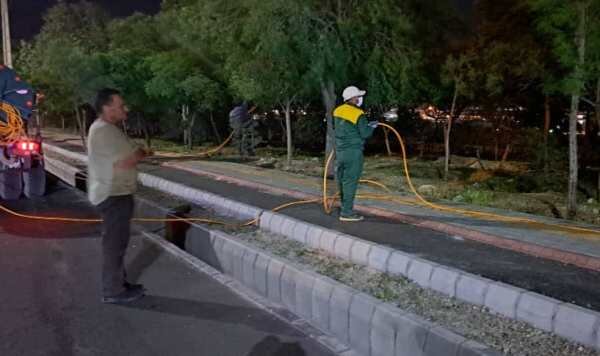 هدف گذاری برای سمپاشی ۱۴۰ هزار اصله درخت در جنوب غرب تبریز طی ۷ روز آینده