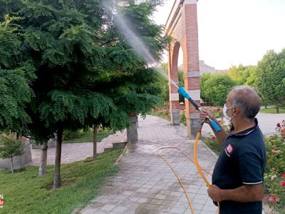 اجرای عملیات سمپاشی ۸۴۸۵۰ اصله درخت و درختچه در سطح منطقه ۹ تبریز