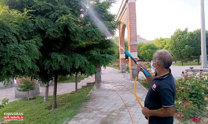 اجرای عملیات سمپاشی ۸۴۸۵۰ اصله درخت و درختچه در سطح منطقه ۹ تبریز