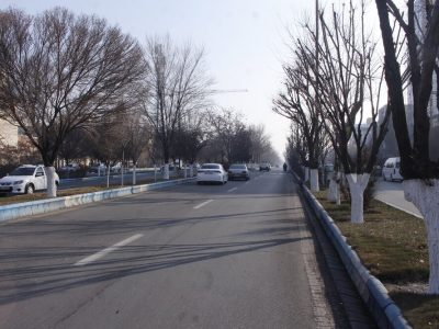 احداث نخستین خیابان گل در تبریز/ جاده ائل‌گلی به مسیر گردشگری تبریز تبدیل می‌شود